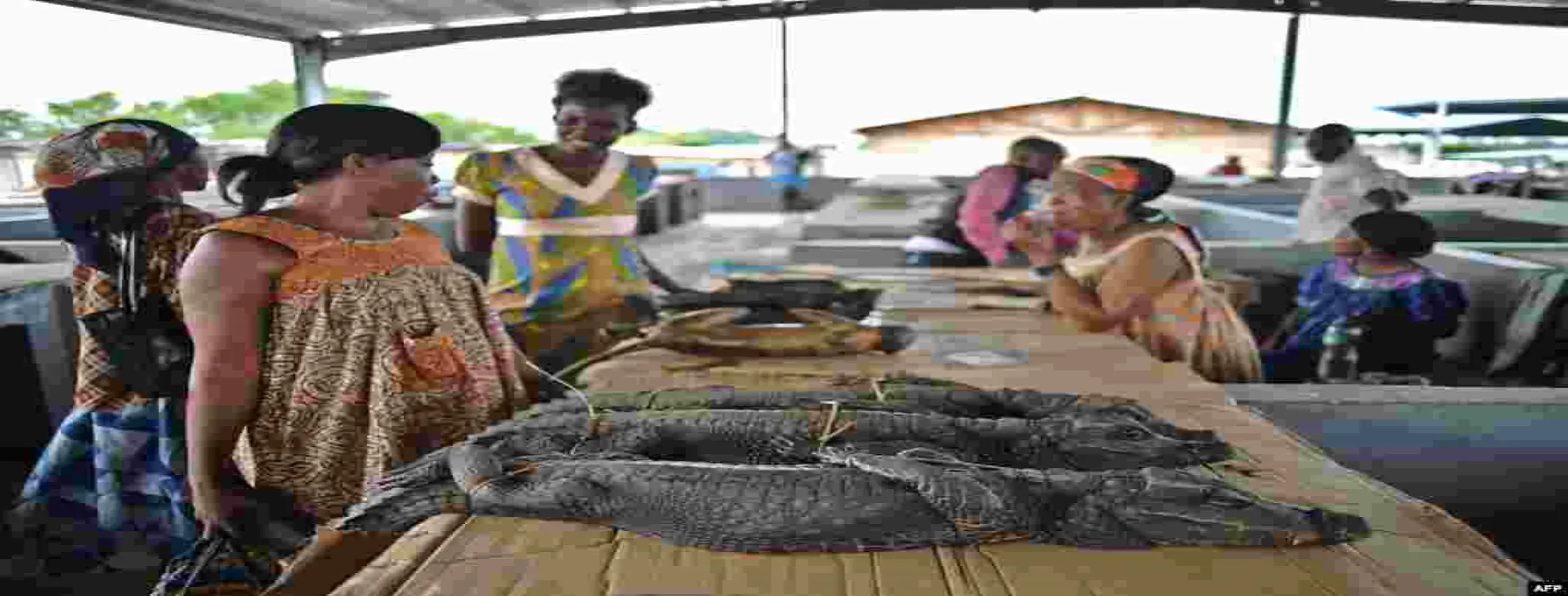 Image for Bata Market Exploration